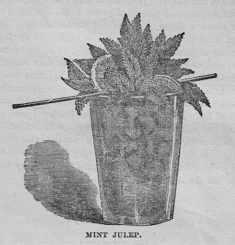 The julep Primary Image